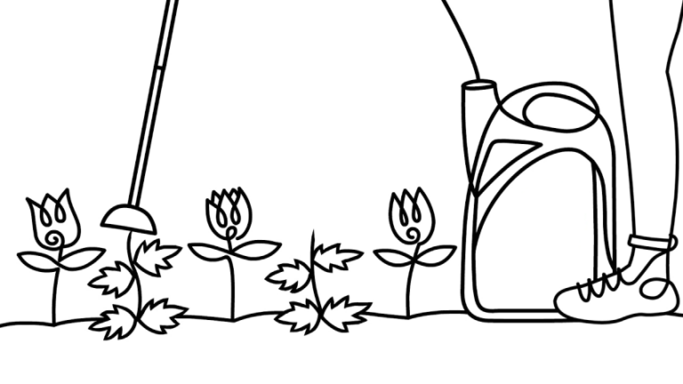 hand drawn image of a garden