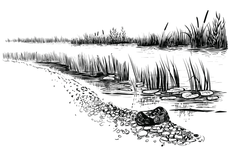 hand drawn picture of a lake