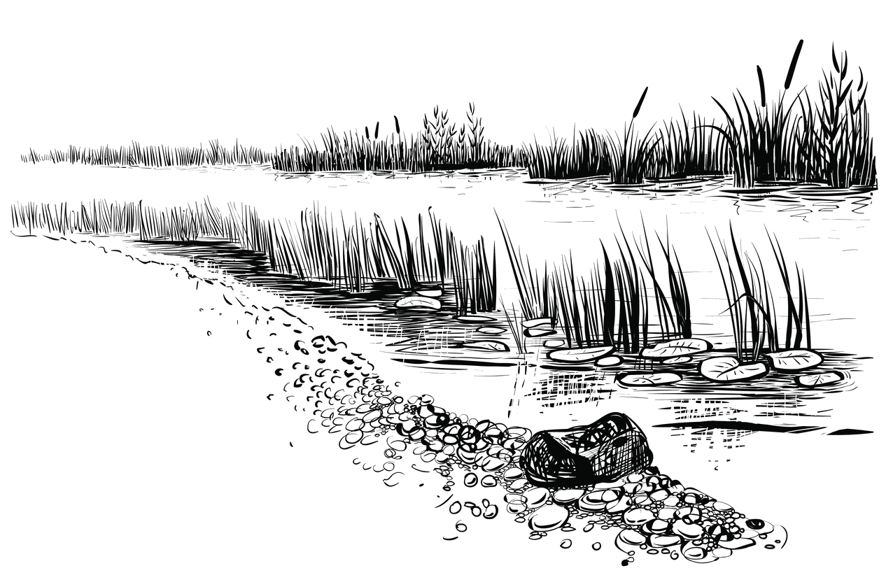 hand drawn picture of a lake