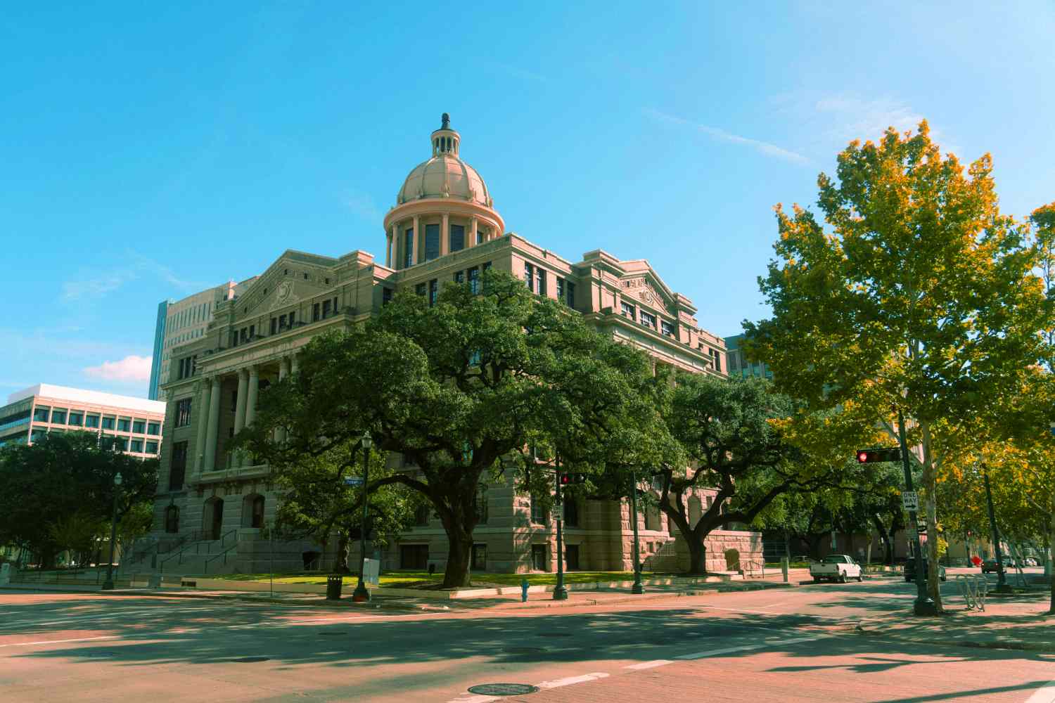 a courthouse behind a row of trees